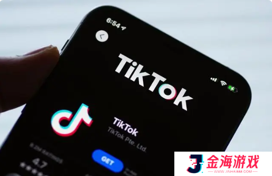 TikTok国际解锁版怎么连接网络