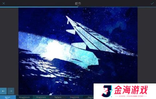 泼辣修图Polarr Pro专业版