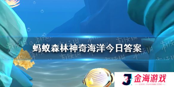 哪种海洋生物像海底绽放的烟花 神奇海洋12月28日答案最新