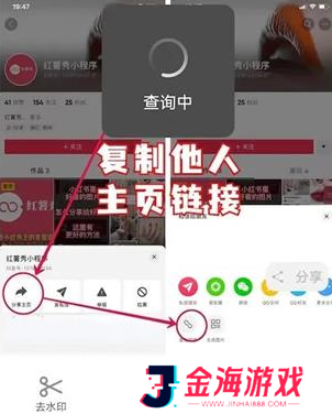 抖音账号权重查询入口最新版